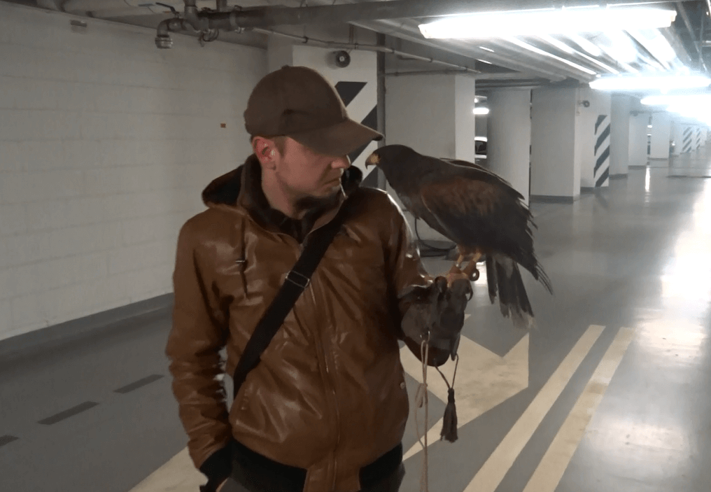Sokolnik Łukasz Nowosad odstraszający gołębie w garażu podziemnnym na Alejach Jerozolimskich w Warszawie